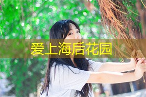 标题：探索上海后花园的森林迷宫