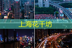 上海成人舞蹈培训班推荐