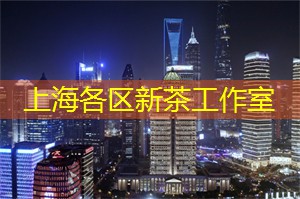 唐宁街二十-四号上海同款骗术曝光，小心上当受骗!