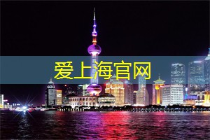 上海龙凤419：过客