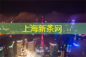上海新茶工作室：上海美食地图大揭秘：八个隐藏在巷弄中的极致美味